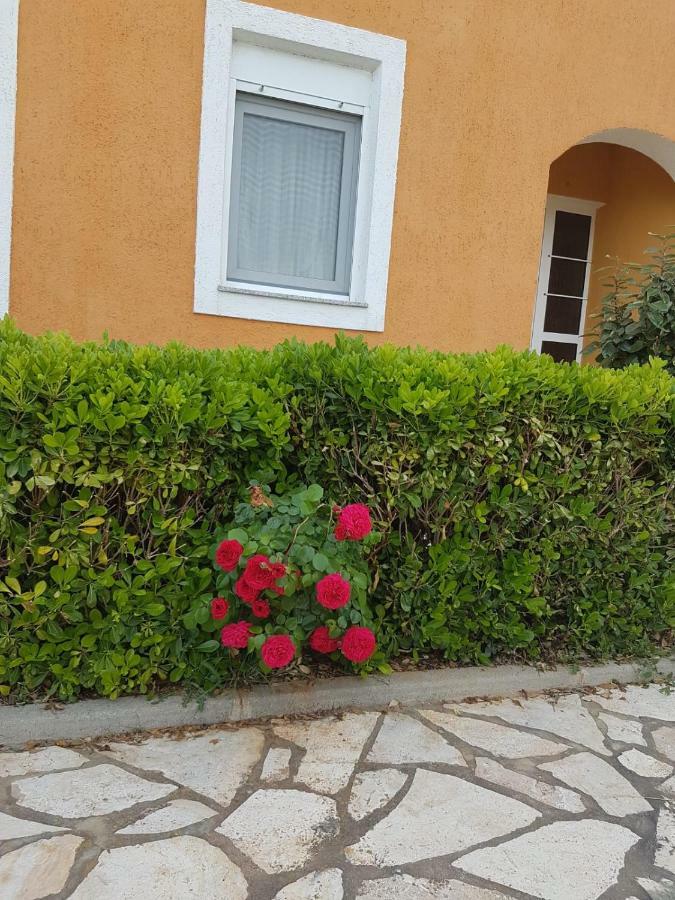 Apartmani Anna Vir Extérieur photo